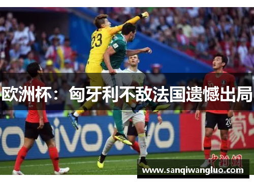欧洲杯：匈牙利不敌法国遗憾出局