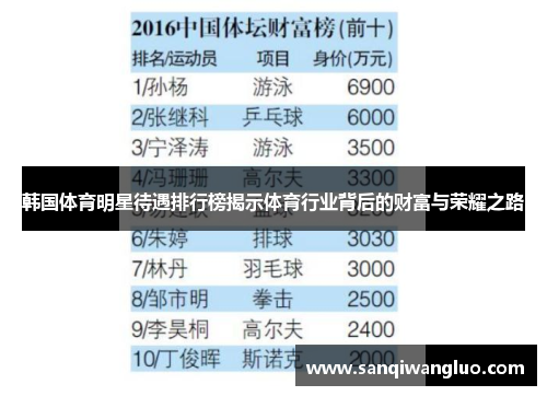韩国体育明星待遇排行榜揭示体育行业背后的财富与荣耀之路